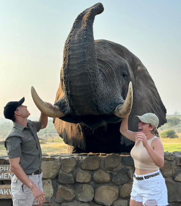 Options ElephantMoments 2