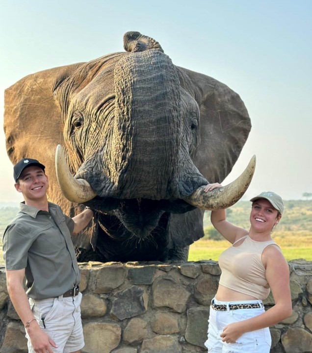 Options ElephantMoments 3